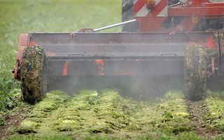 Een landbouwmachine vernietigt ijsbergsla in het Duitse Cappeln. Foto EPA