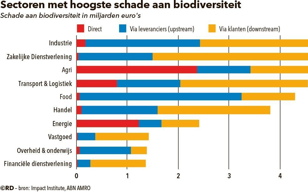 beeld RD