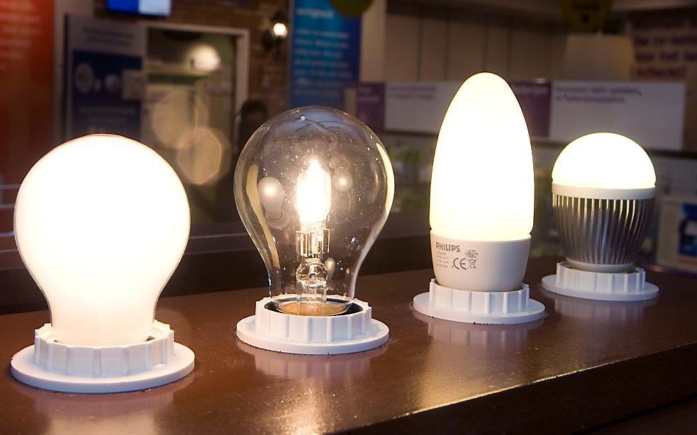 Gloeilamp, eco halogeenlamp, spaarlamp en ledlamp. Binnenkort kan de fipellamp aan het rijtje worden toegevoegd. Foto ANP XTRA