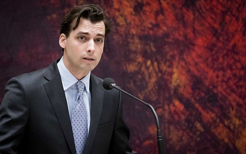 Baudet. beeld ANP