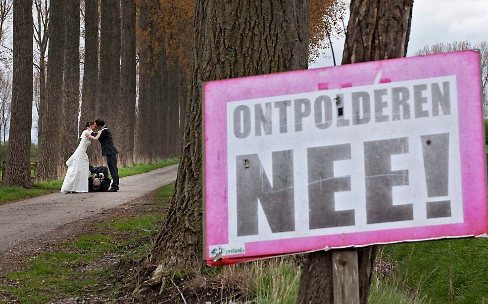 De onteigening van gronden in de Hedwigepolder moet over, adviseert een advocaat-generaal aan de Hoge Raad. beeld ANP