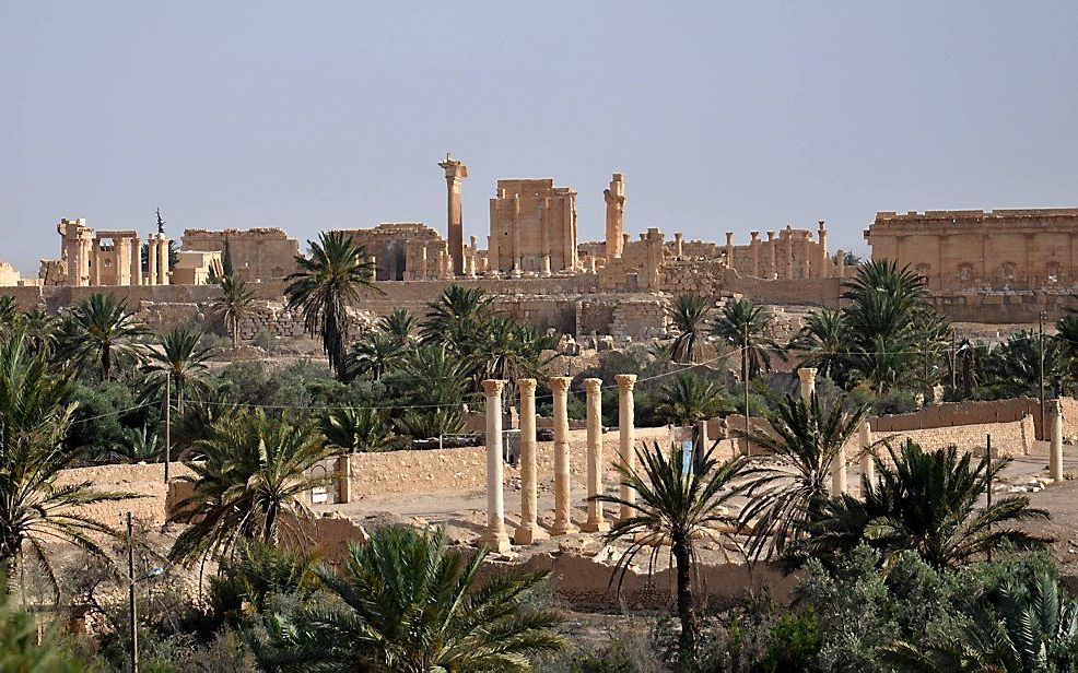 Palmyra. Beeld AFP