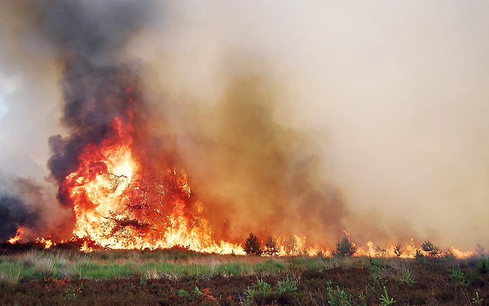 Een natuurbrand. beeld ANP, Hendriks Multimedia, Jeffrey Geurts