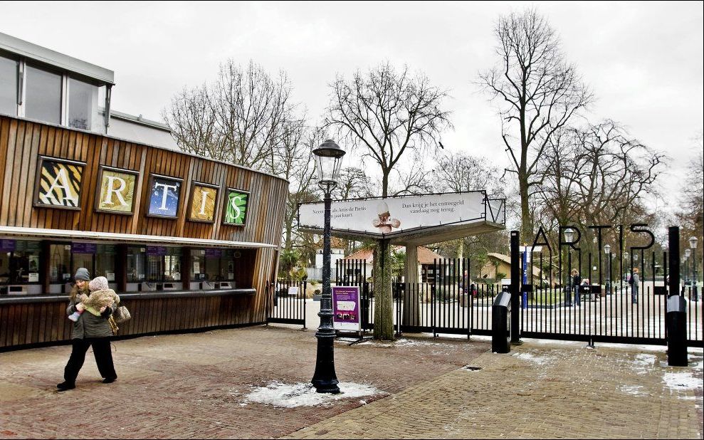 Dierentuin Artis. Foto ANP