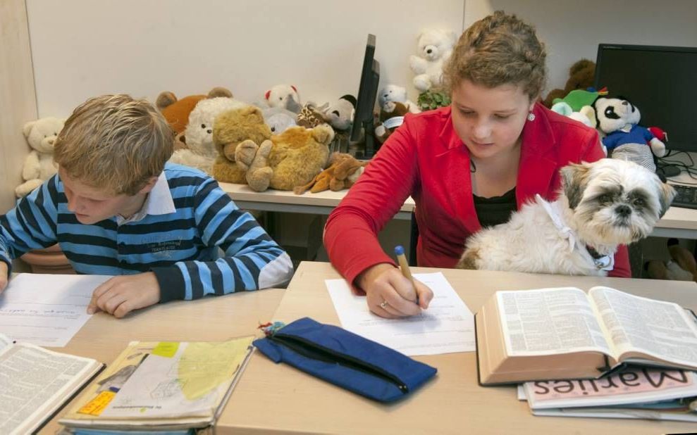 Huisdieren –van kalf tot wandelende tak– en knuffels in de klas: Werelddierendag op de Ds. A. van Stuijvenbergschool. Foto Ruben Schipper