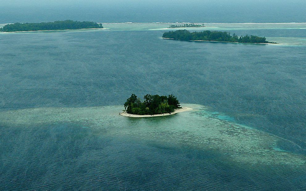 Een zware aardbeving heeft donderdag de Salomonseilanden in de Stille Oceaan opgeschrikt. De kans bestaat dat de aardschokken een tsunami veroorzaken, waarschuwt het Pacific Tsunami Warning Center (PTWC). beeld AFP