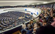 Europarlementariers in de plenaire vergaderzaal van het Europees Parlement in het Franse Straatsburg. beeld ANP