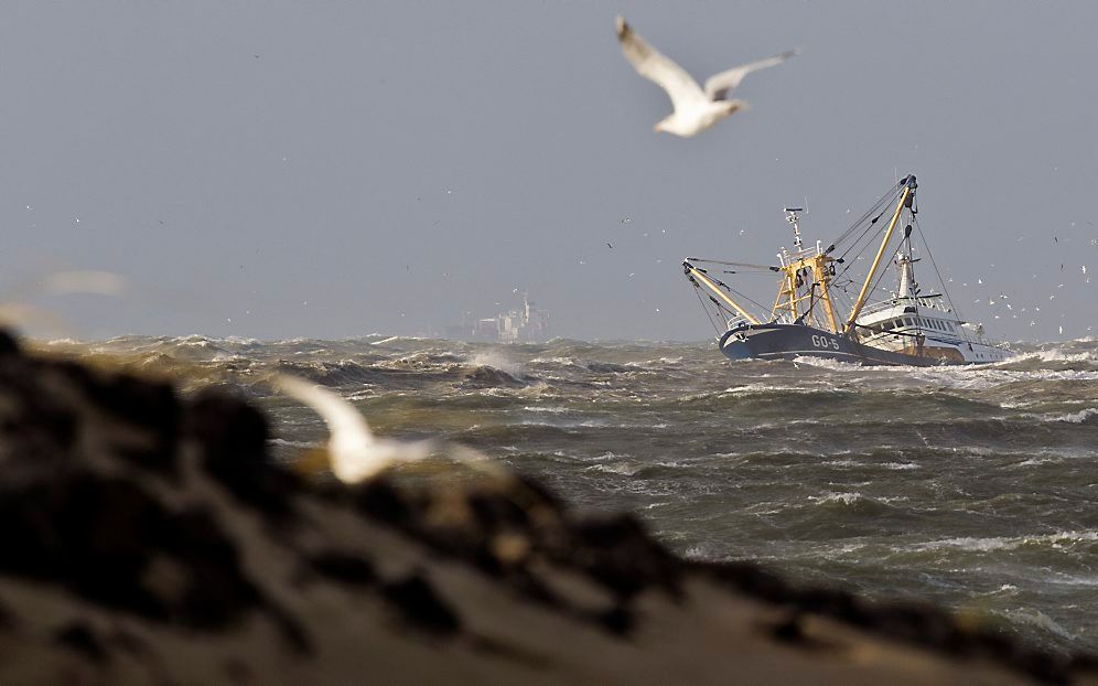 Vissersschip bij de haven van IJmuiden. Foto ANP