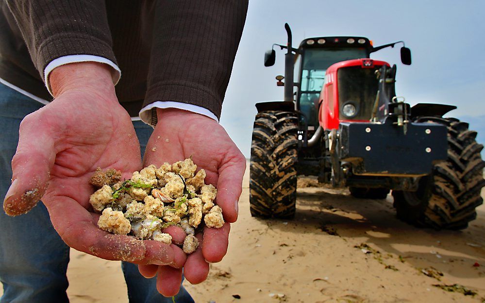 Paraffine op het strand. beeld ANP