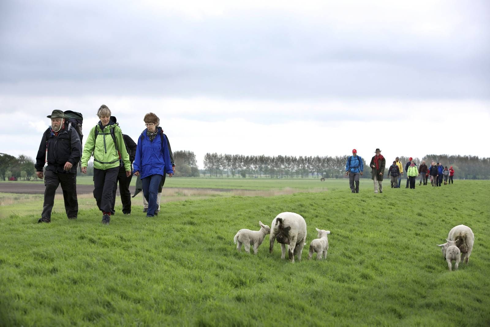 2019-12-17-katZA1-bijterpentocht-8-FC-V_web.jpg