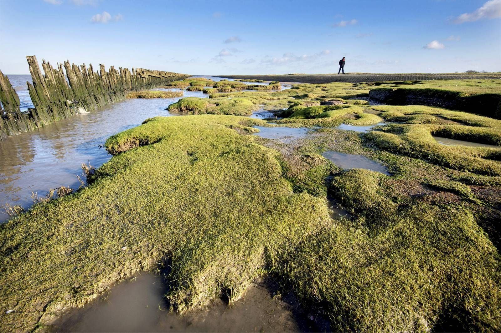 2019-12-17-rdMAG1-waddenwandelaar-4-FC_web.jpg