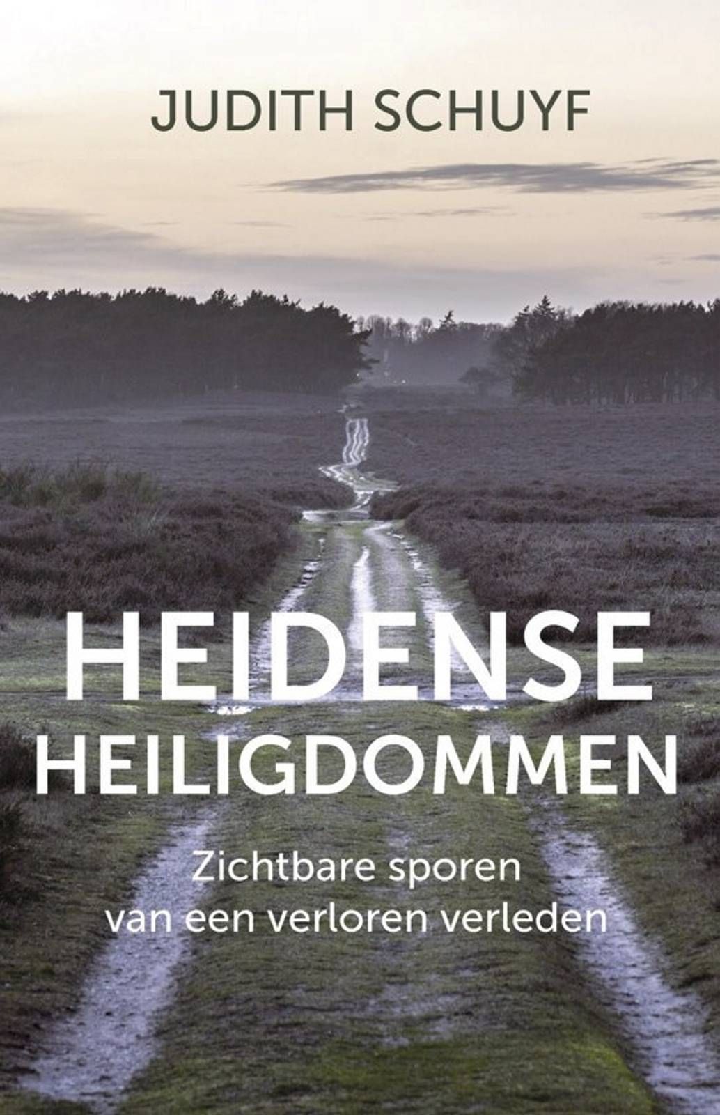 2020-01-23-katDO8-Heidense_heiligdommen-0,5-FC_web.jpg