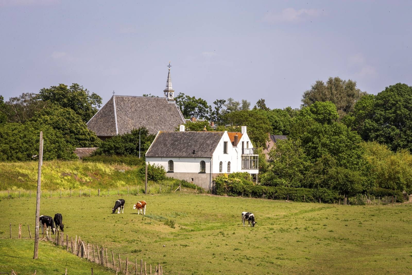 2020-05-30-katZA1-herwijnen-1-4-FC_web.jpg