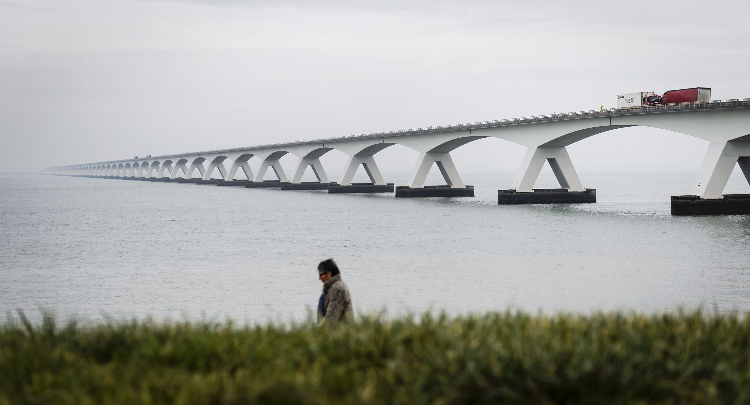 Foto van de Zeelandbrug, een lange rij witte pilaren in zee met daarop het brugdek. Op de brug zijn enkele vrachtwagens te zien. Op de voorgrond loopt iemand over een begroeide dijk.