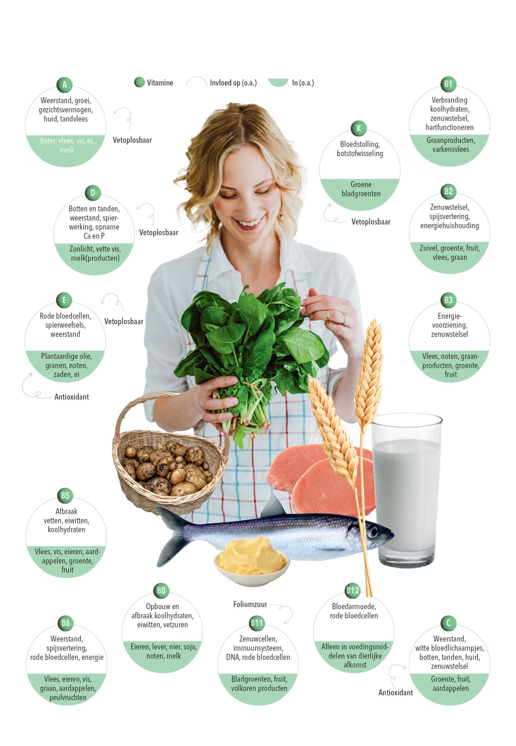 Een mevrouw met een keukenschort houdt wat groenten en een mand met aardappelen vast. Om haar heen zijn cirkels getekend met daarin de namen van vitaminen, hun werking en de oorsprong ervan.