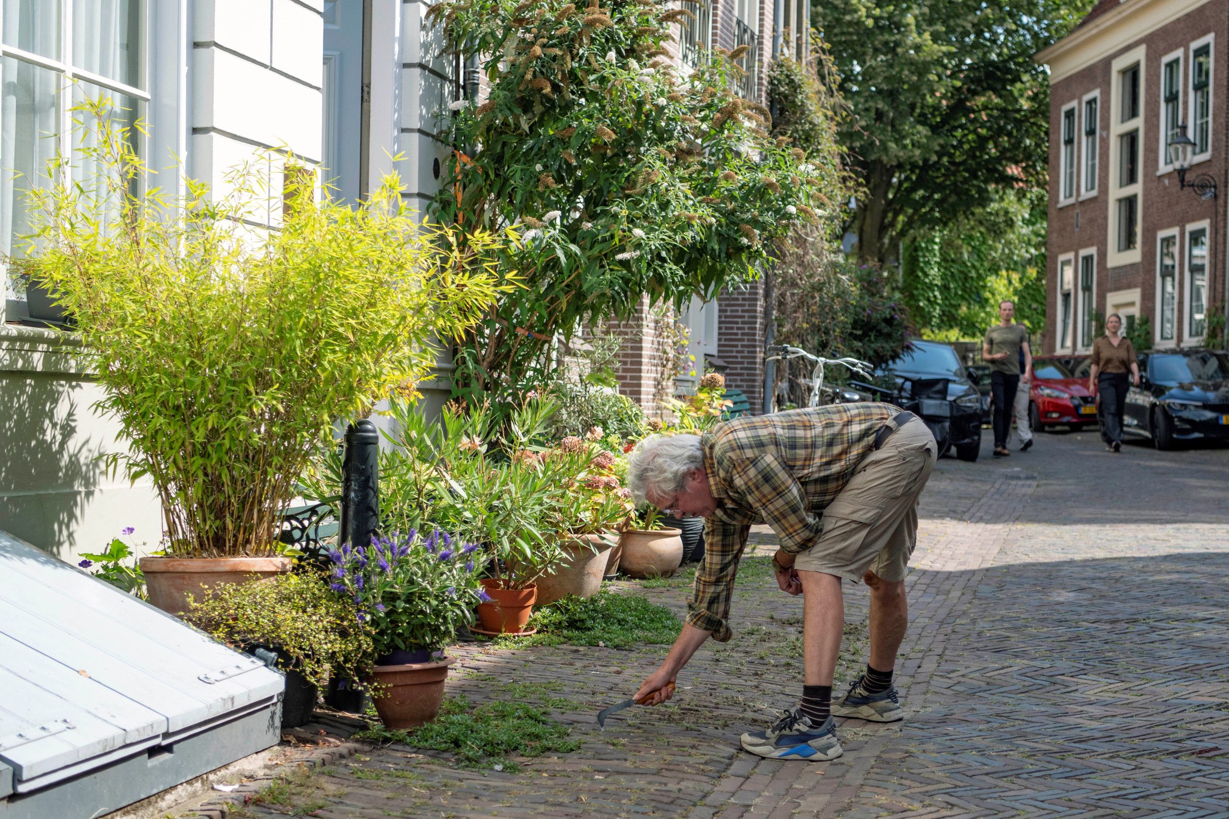 Man krabt onkruid tussen straatsteentjes vandaan.