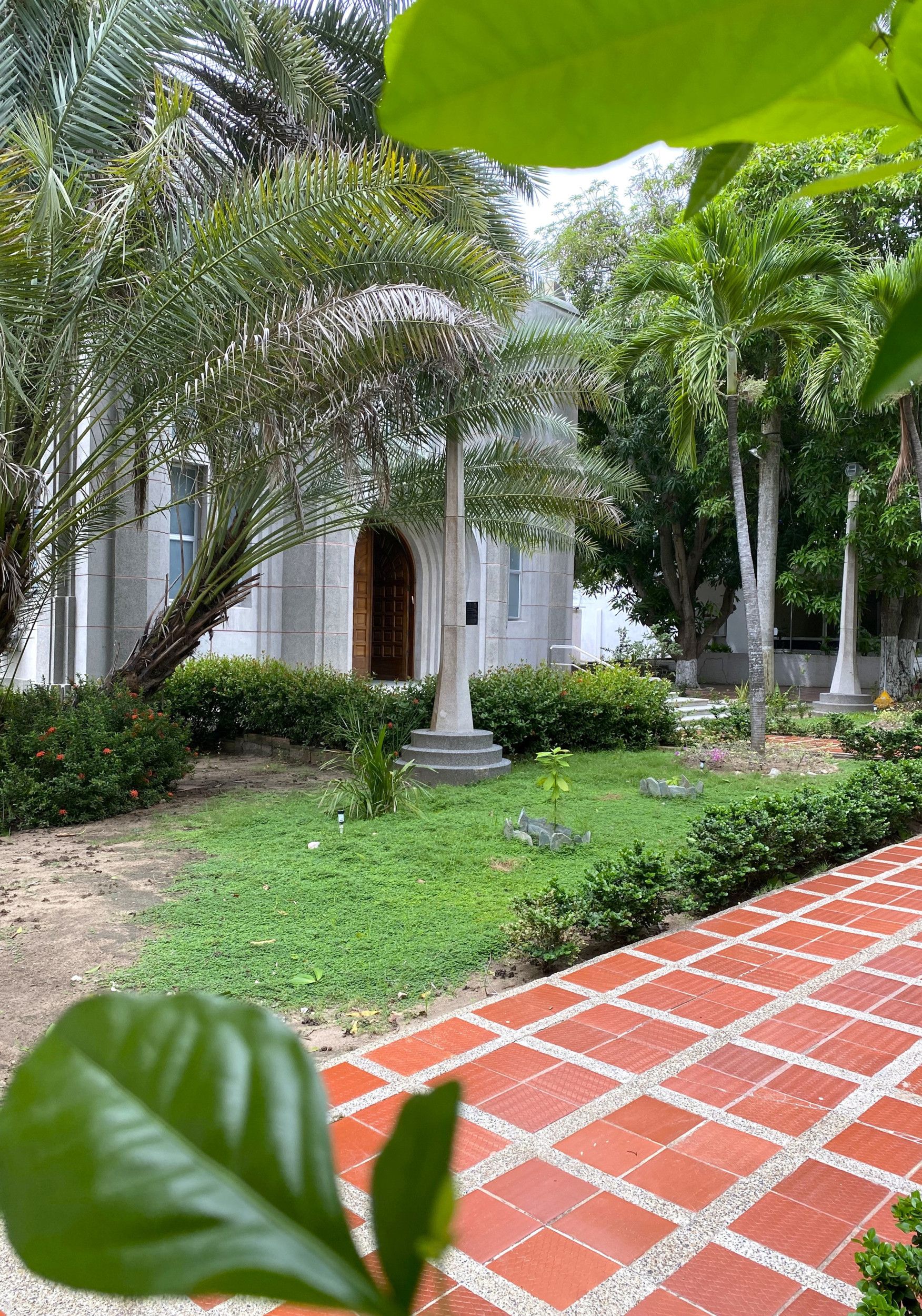 Gebouw achter palmbomen.