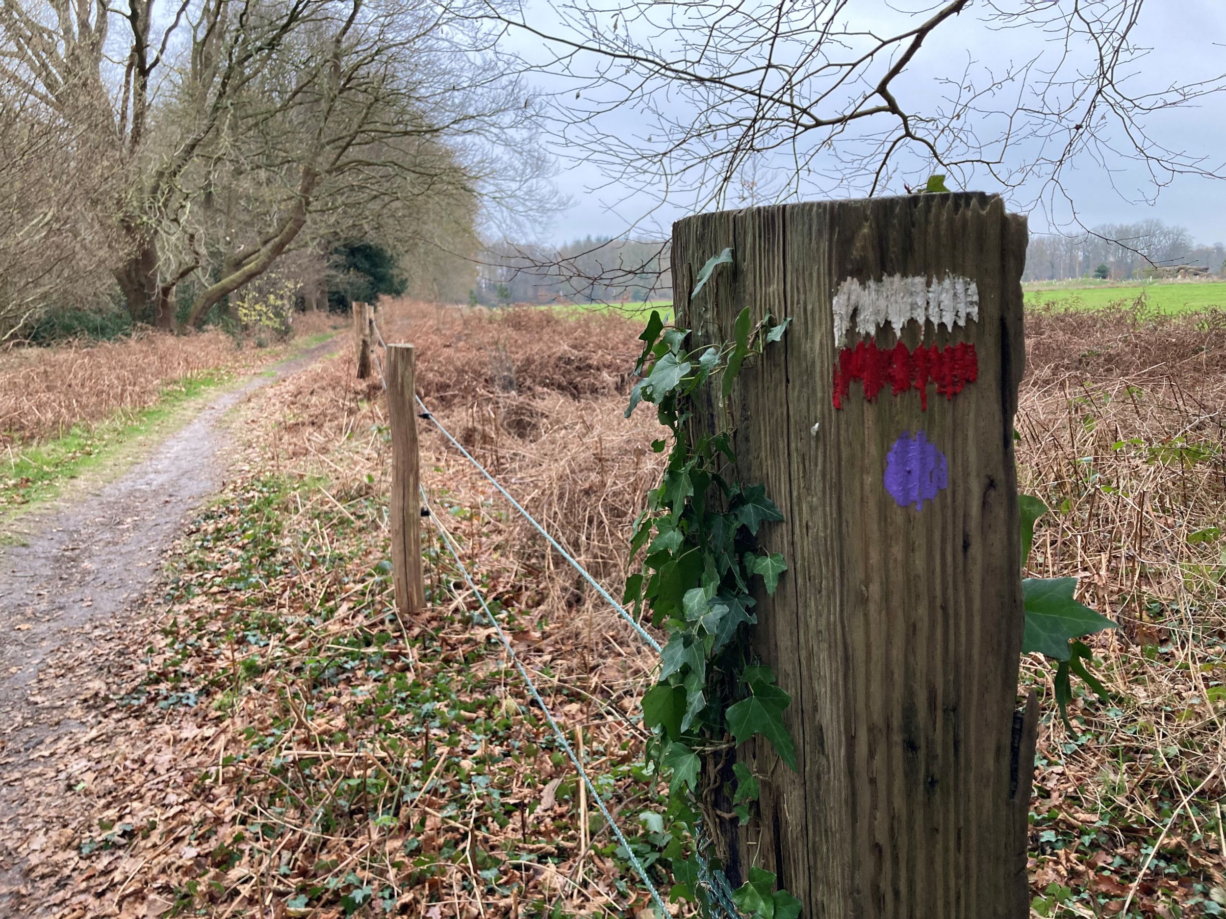 Houten vierkante paal met daarop een witte en een rode streep en een paarse stip als routemarkeringen.