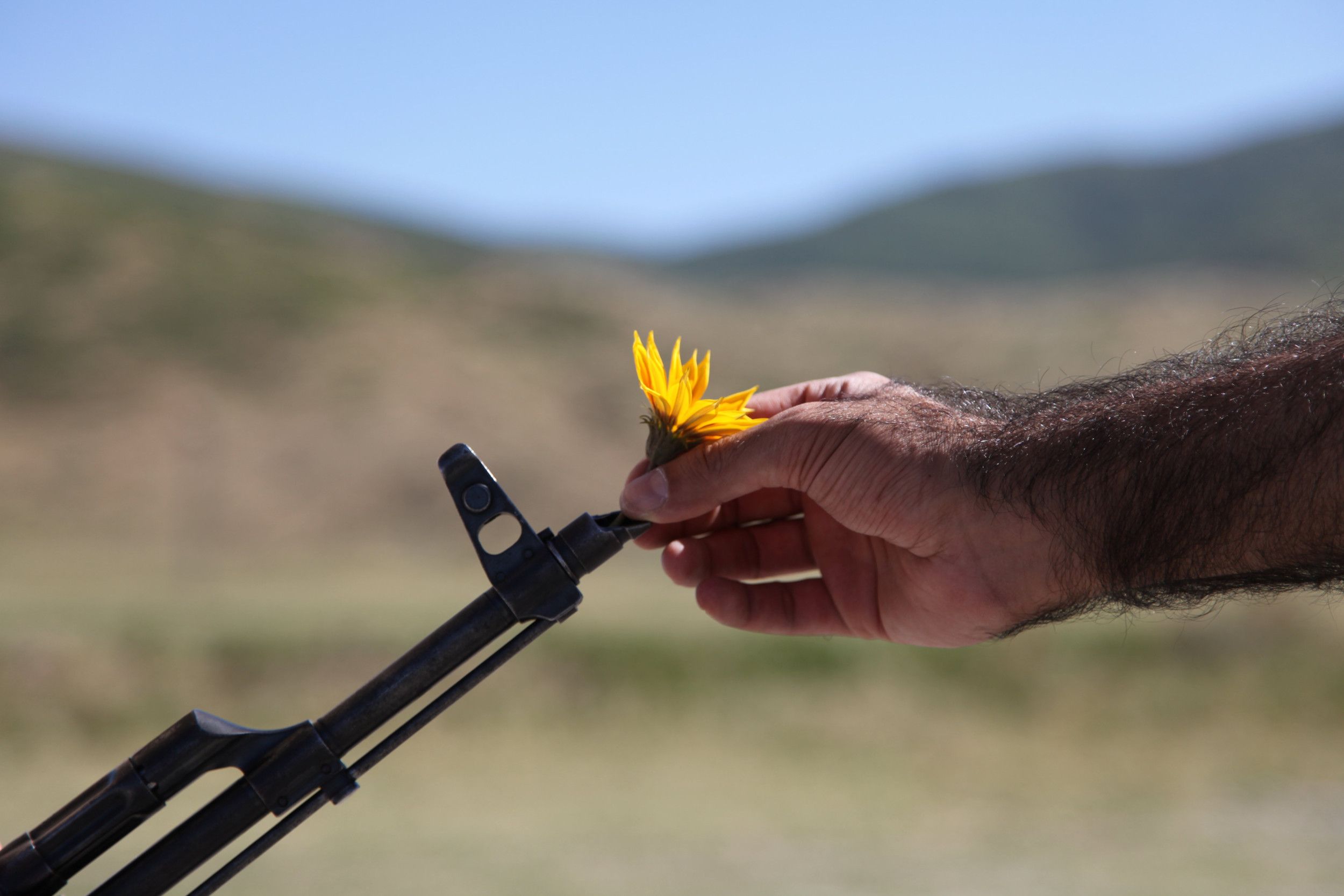Man stopt bloem in geweerloop.