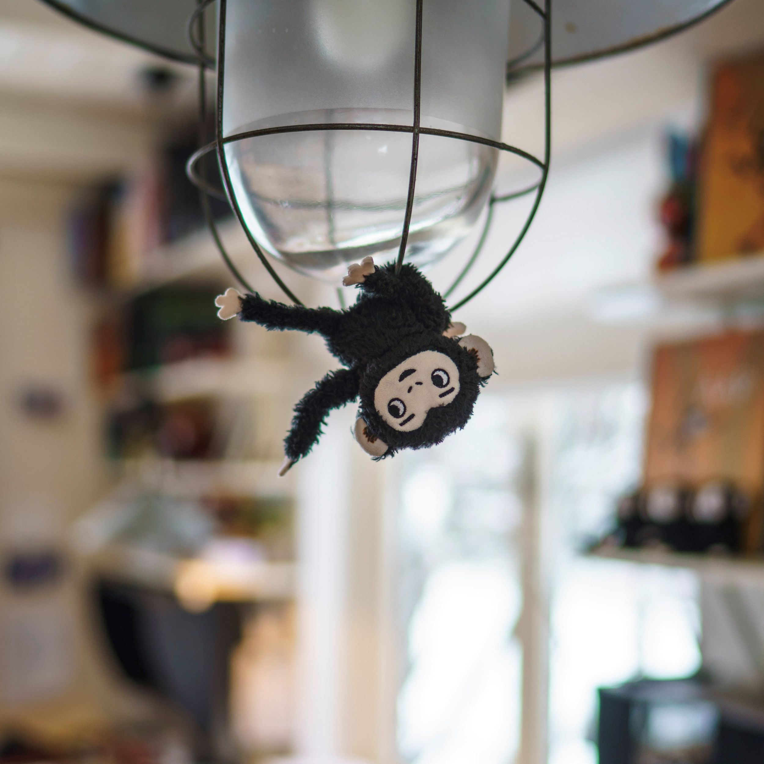 Knuffeltje van een zwart aapje hangt op z’n kop aan een lamp.