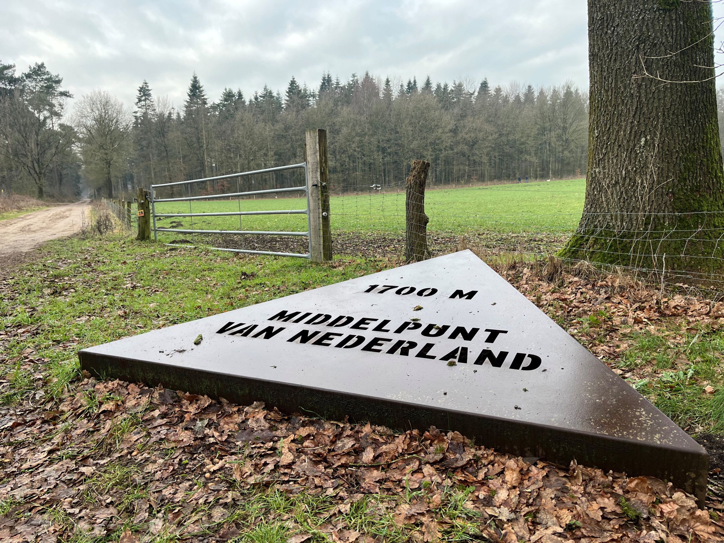 Grote bronzen driehoek aan de voet van een boom met de vermelding: 1700 meter middelpunt van Nederland.