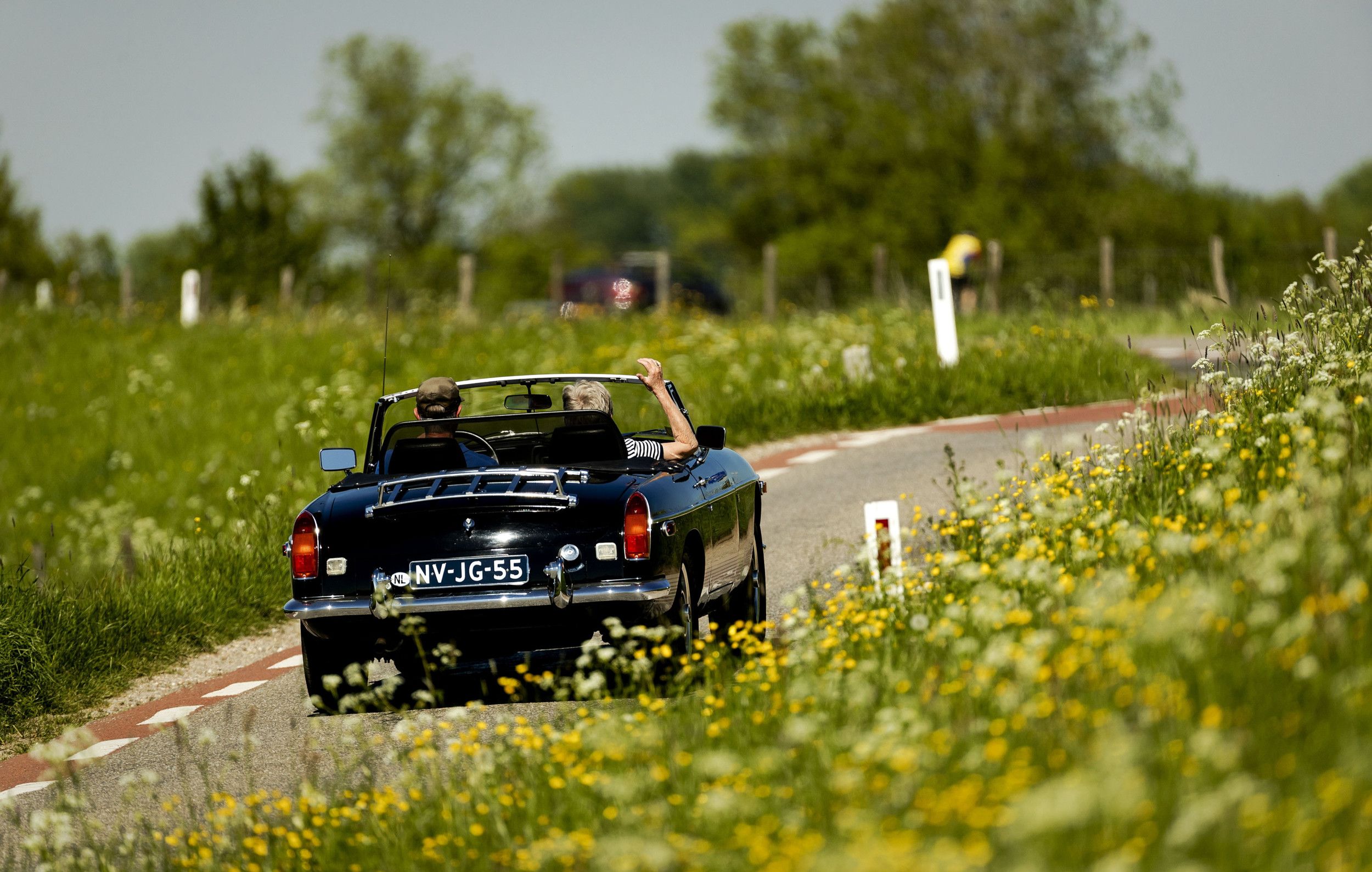 Twee mensen rijden in een zwarte oldtimer cabriolet over een weggetje tussen bloeiende bermen.