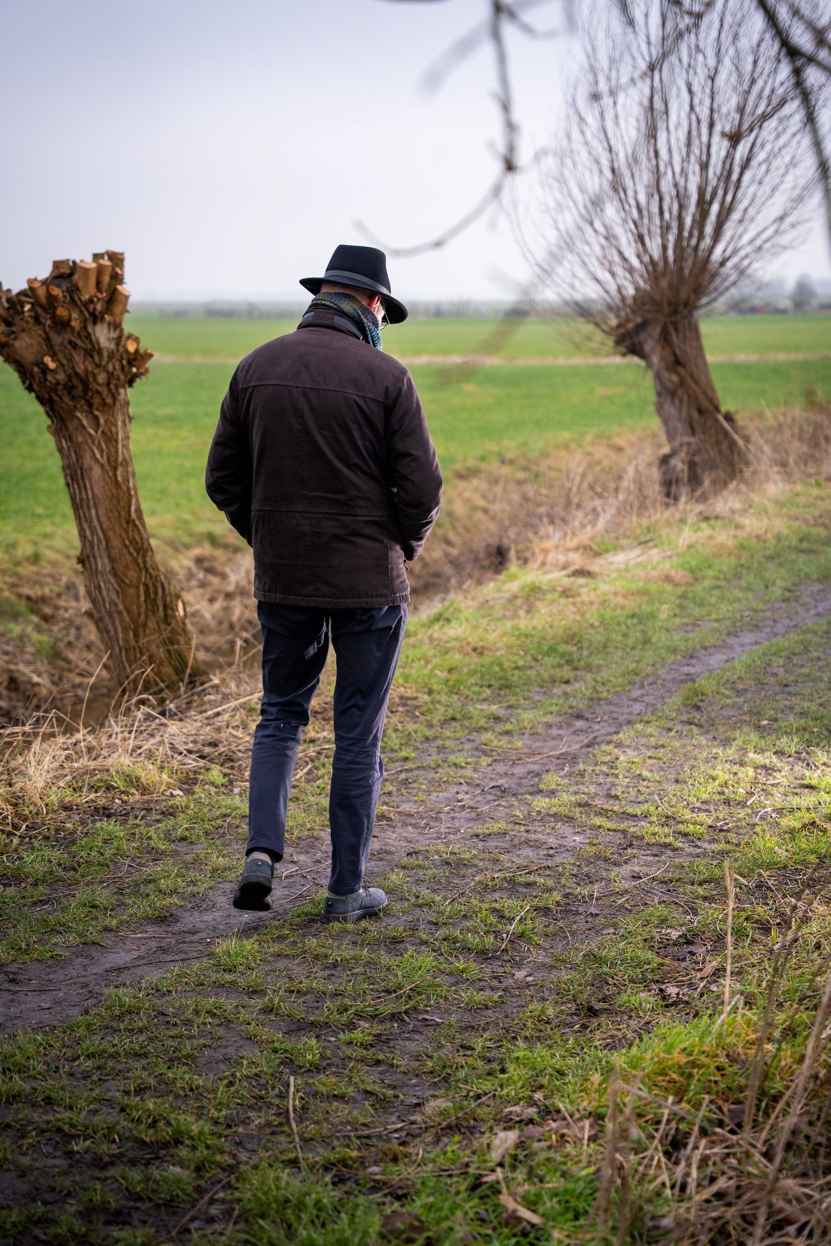Een man met hoed, op de rug gezien, loopt over een boerenweggetje waar knotwilgen naast staan.