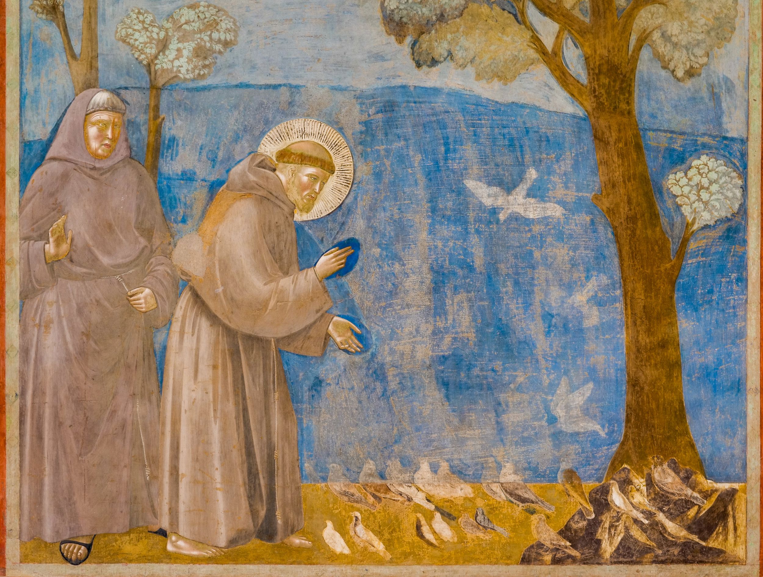 Franciscus, een man in bruine pij, spreekt tegen vogels.