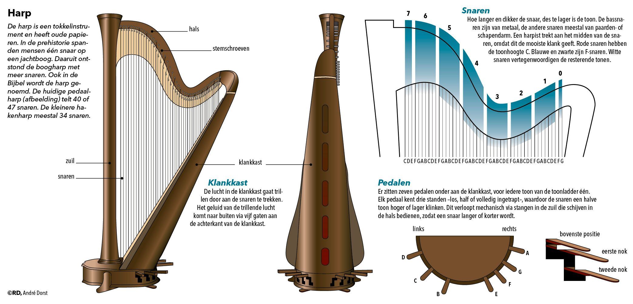 Harp, graphic.jpg