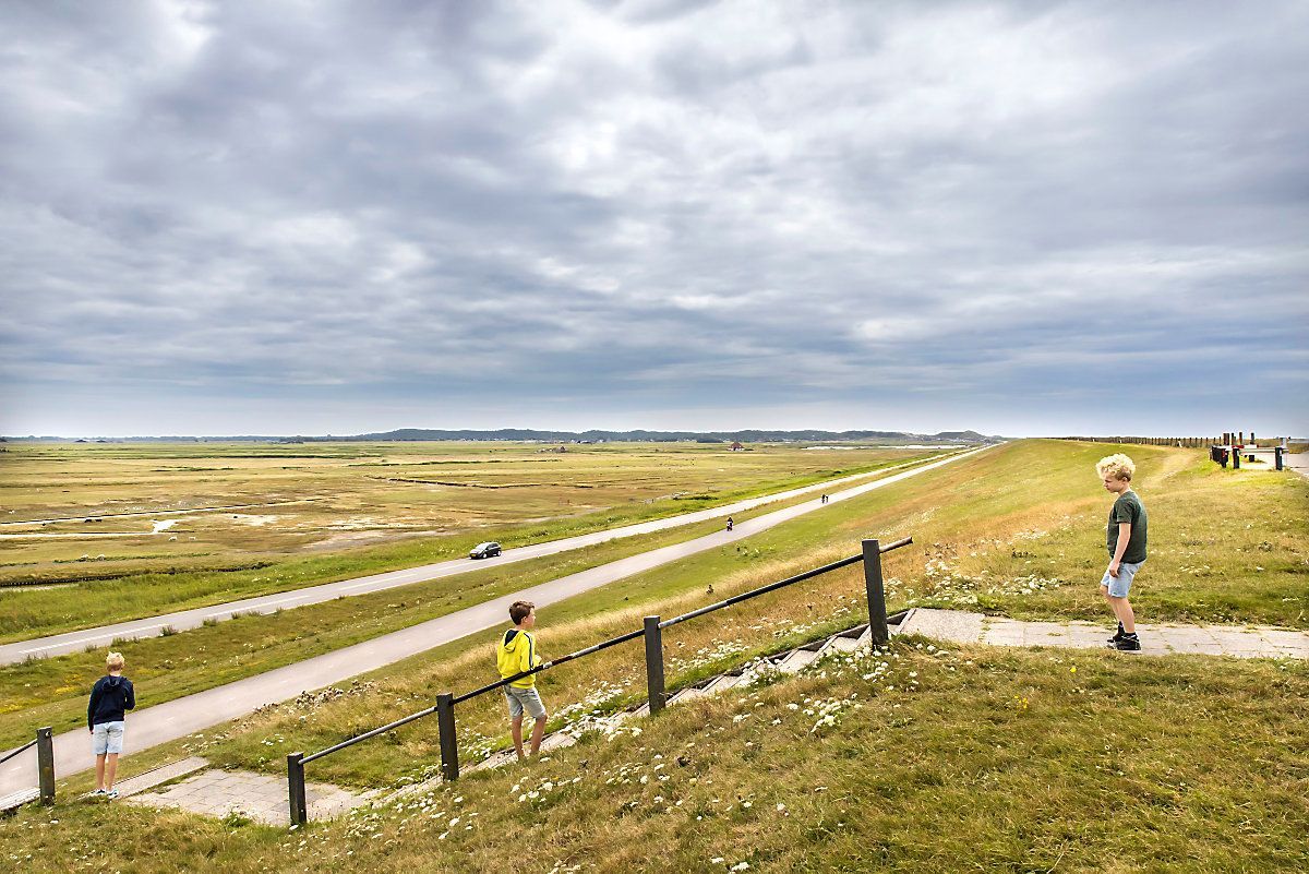 PETTEN-0001-HENK.jpg