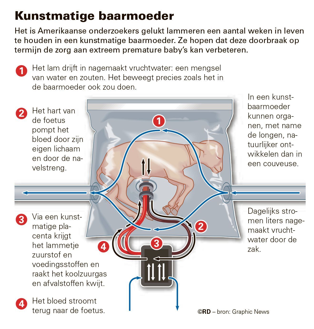 graphickunstmatigebaarmoeder.jpg