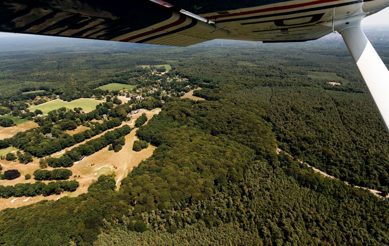 hoge veluwe.jpg