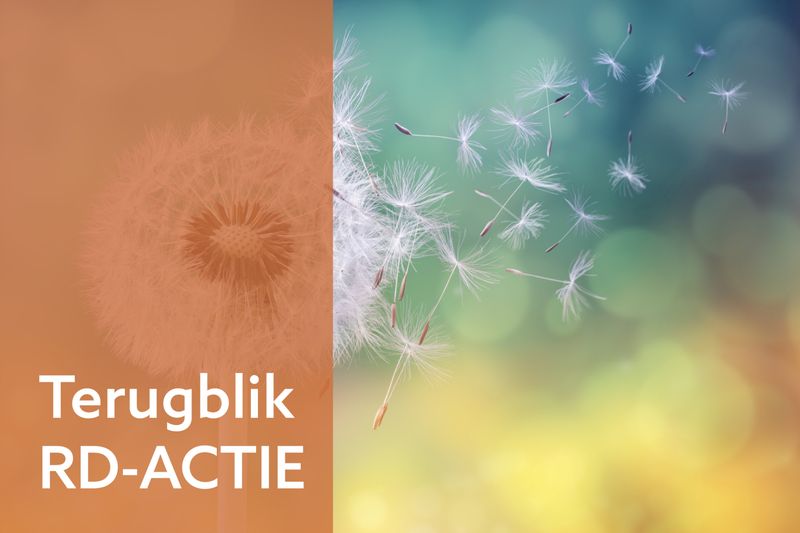 Een uitgebloeide paardenbloem laat haar pluiszaadjes los zodat ze met de wind meewaaien.